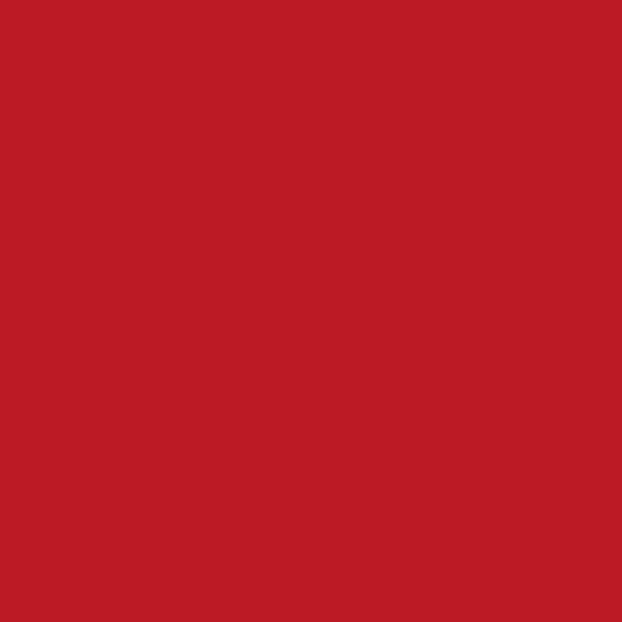 MF COMPLETE CARE LIP COLOR red lips - no 33