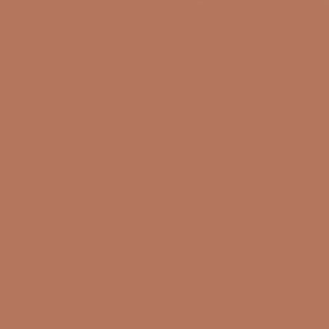 MF Lip Color no 100 naked