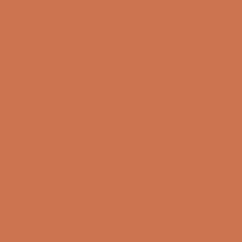 MF Lip Color no 175 nude apricot