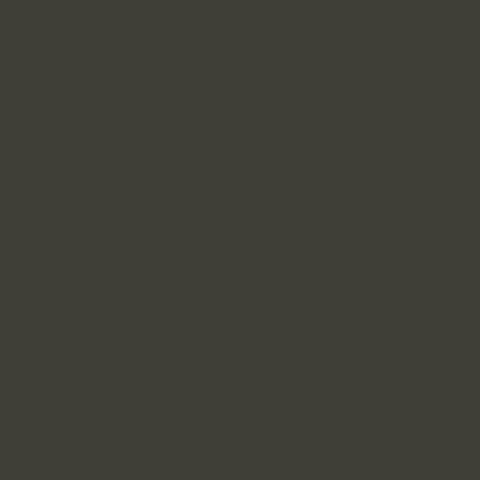 MF COOLING EYESHADOW STICK DARK FOREST - NO 19