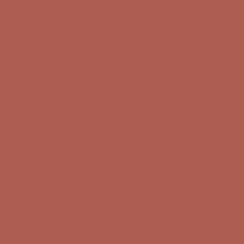 MF COMPLETE CARE LIP COLOR MISS FEELGOOD - no 09 