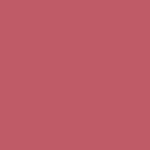 MF COMPLETE CARE LIP COLOR Effortless - no 22