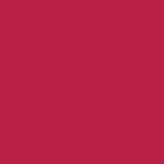 MF COMPLETE CARE LIP COLOR sophisticated - no 31