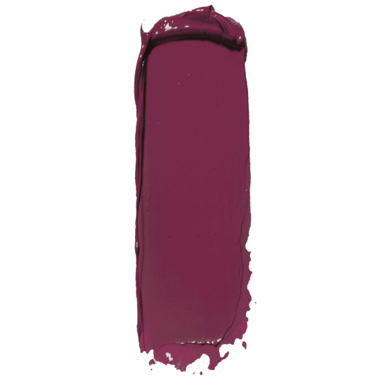 MF COMPLETE CARE LIP COLOR wicked - no 55